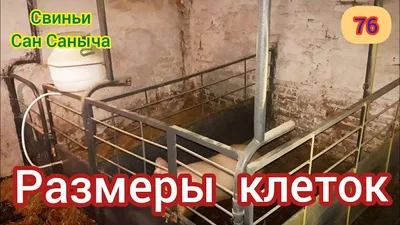 Размеры клеток для свиней - YouTube