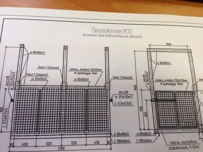 Ученые впервые вырастили человеческие почки в организме свиньи - Телеканал  Доктор