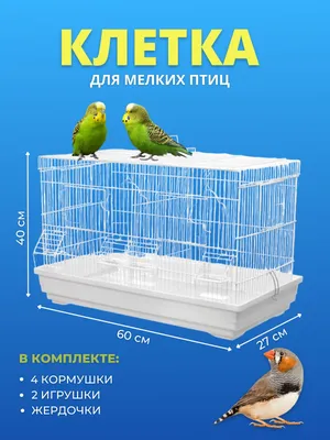 Сетка для клетки птиц Aliexpress Nylon mesh bird cage, skirt cover, Easy  seed cleaning, bird protection, bird cage, accessories, parrot Air net,  bird cage - «Не хотите заводить попугаев потому, что от