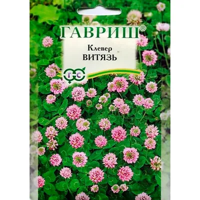 Купить Клевер Витязь луговой 0,5кг недорого по цене 381руб.|Garden-zoo.ru