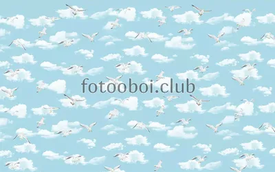 Фрески на стену небо, облака, птицы в Москве, aртикул: 2747 КИТ 19097683