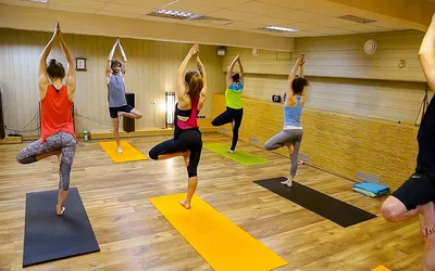 Отзывы о Студии йоги Према в Измайлово - Фитнес клубы - Москва