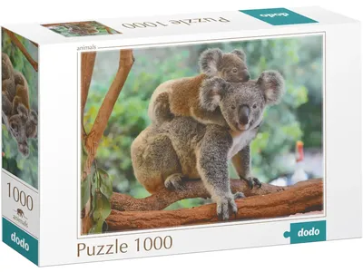 Купить Пазл Маленькая коала с мамой. 1000 элементов. DoDo 301183 недорого