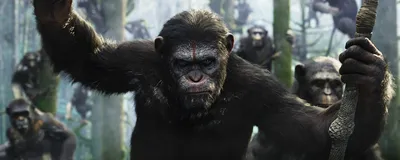 Планета обезьян игрушка фигурка Коба Rise Of The Planet Of The Apes