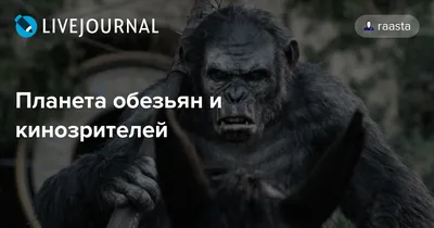 Топ-10 причин, по которым \"Планета обезьян\" может произойти на самом деле |  Интересные топы всего мира | Дзен