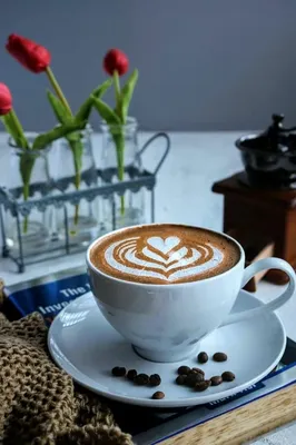 Картинка кофе утром (42 фото) » Юмор, позитив и много смешных картинок