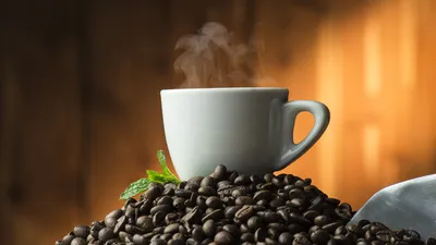 Кофе: вред, польза и… наслаждение — Naked Science