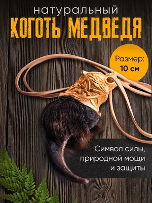 Мастерская Магии \"Геката\" - #интересноегеката ⠀ Коготь медведя 🐻 ⠀ Коготь  медведя — один из самых могущественных оберегов.⚜ В древности его  использовали шаманы и охотники повсюду, где водился этот могучий зверь. 🐻