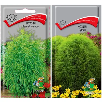 Различные травы Агрофирма Поиск kox - купить по выгодным ценам в  интернет-магазине OZON