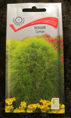 Семена Кохия Султан, 0,1 г Поиск - купить в Москве, цены на СберМегаМаркет