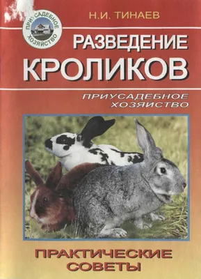 Блог :: Болезни кроликов: классификация и лечение - Клиника \"Ветпомощь\"