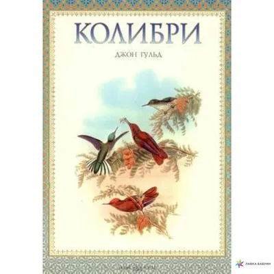 Колибри, Джон Гульд, Белый город купить книгу 978-5-7793-1398-8 – Лавка  Бабуин, Киев, Украина