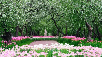 Сад в Коломенском - 74 фото