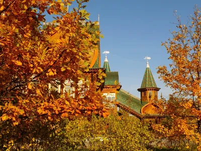 Коломенский парк осенью - фото и картинки: 65 штук