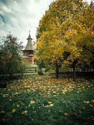 Парк Коломенское осенью - 77 фото