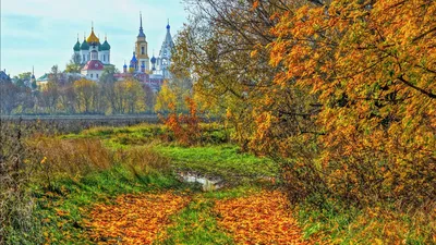 Обои коломна, россия, осень, храм, деревья картинки на рабочий стол, фото  скачать бесплатно
