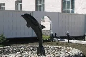 Черный дельфин\": фото: sivilia_1 — LiveJournal