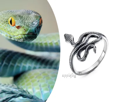 Серебряное кольцо Змея купить
