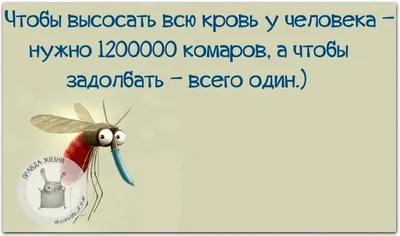 https://lubok.club/otkr/zhizn/9888-otkrytki-zhizn-komara-80-foto.html