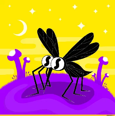 красивые картинки :: комар :: gif :: анимация :: art (арт) / картинки,  гифки, прикольные комиксы, интересные статьи по теме.
