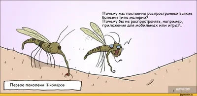 Картинки смешные комары (53 фото) » Юмор, позитив и много смешных картинок