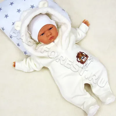 Детский комбинезон с капюшоном для новорожденных (футер) купить за 790 руб.  в интернет-магазине Детский Лес с быстрой доставкой