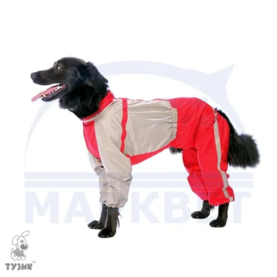 Зимний комбинезон для собак «Дутик», серебро, зимняя одежда для собак  мелких, средних пород (ID#1096832074), цена: 525 ₴, купить на Prom.ua