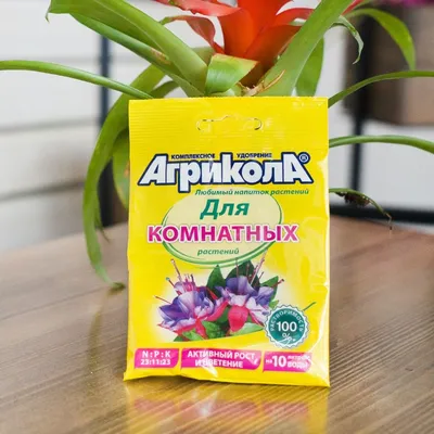 Купить Удобрение Агрикола № 9 (комнатные растения) 25г 00040006042 за  33руб. |Garden-zoo.ru