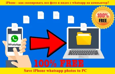 ✓ [Решено:] Как скопировать все фото и видео из whatsapp на компьютер с  iPhone?