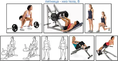 Программа тренировок для девушек, низ тела В | Тренировки, Тренировка тела,  Тренировка для плоского живота