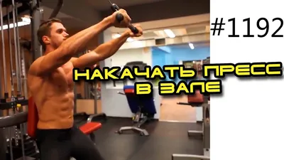 Как накачать спину девушкам в тренажерном зале: 5 упражнений на спину -  Your Body Mind