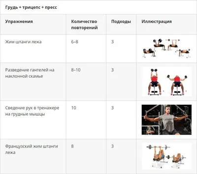 Тренировка ног в тренажерном зале для женщин, комплекс упражнений на ноги |  Блог Spirit. Fitness