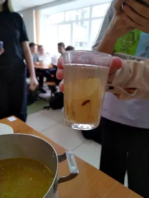 Пенза | Зареченские школьники выложили в сеть фото компота с тараканом из  столовой - БезФормата