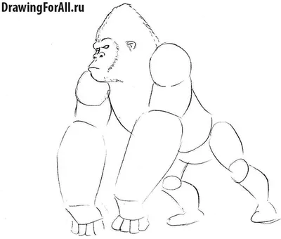 Как нарисовать Кинг Конга | DRAWINGFORALL.RU