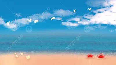 ракушка пляж песочный магазин фон море ремесел магазин фон, белый, песок,  раковина фон картинки и Фото для бесплатной загрузки