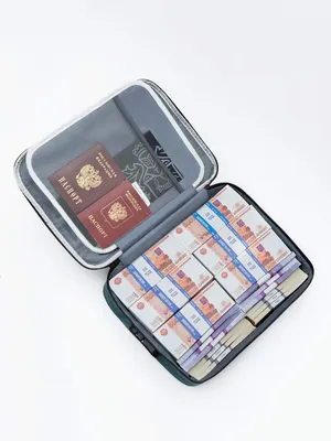 Сумка для хранения и перевозки денег NIT Perfect Goods тревожный чемоданчик  - купить в Москве, цены на Мегамаркет