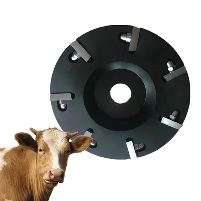 Копыто коровы стоковое изображение. изображение насчитывающей хвостовик -  72494591