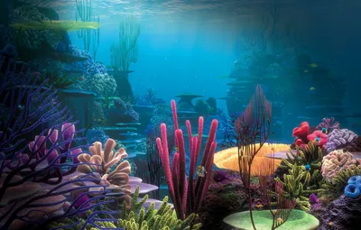 Обои растения, кораллы, подводный мир картинки на рабочий стол, раздел  природа - скачать