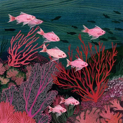 Кораллы рыбки картинки - 78 фото