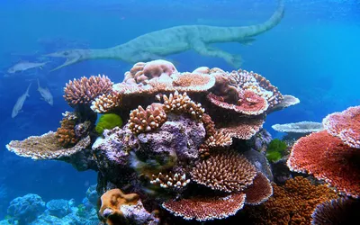Современные кораллы оказались ровесниками динозавров - Индикатор