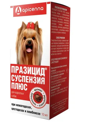 Празицид суспензия от внутренних паразитов для собак 10мл купить недорого в  Нижнем Новгороде. Интернет магазин зоотоваров Зоосфера, каталог, цена, фото,  отзывы.