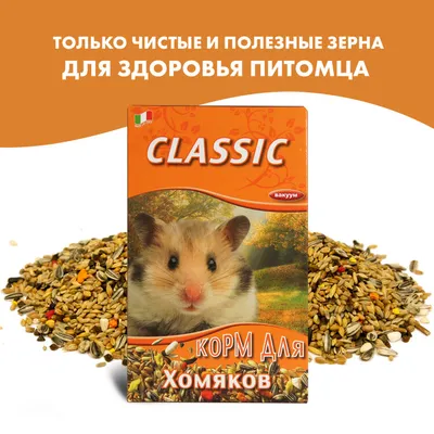 Корм для хомяков Fiory Classic, купить в интернет-магазине Филя с быстрой  доставкой в Санкт-Петербурге