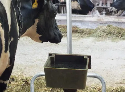 Как сделать корыто для коров своими руками?? - YouTube