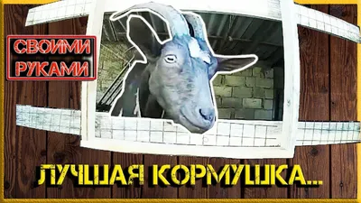 ✓ ЛУЧШАЯ КОРМУШКА ДЛЯ КОЗ!!! 🐐 Как сделать своими руками, или как избежать  потери кормов! 👍 - YouTube