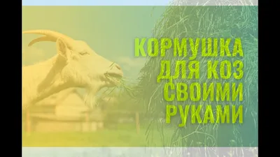 Купить КОРМУШКА ДЛЯ СЕНА КОРМУШКА ДЛЯ КОЗ И ОВЕЦ в Украине недорого |  доставка из Польши - Киев, Днепропетровск, Харьков, Львов, Житомир,  Черкассы, Одесса, Николаев, Ужгород, Тернополь, Хмельницкий.