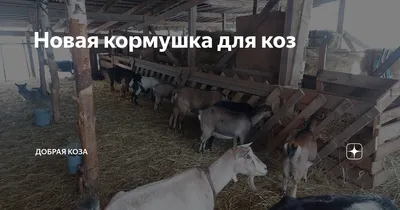 Мешочки для кормления сена висячая кормушка лошади, вместительные, для  кормления коз | AliExpress