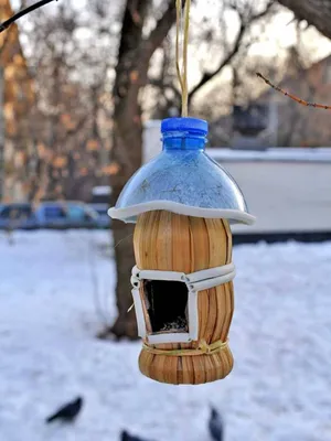 Кормушка для птиц (106 фото): самодельные домики для птиц из картона,  дерева, фанеры, пластиковых бутылок для детей в школу и детский сад