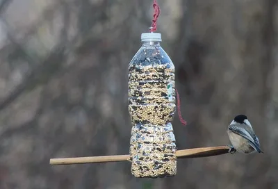 Как сделать кормушку для птиц: 50+ оригинальных идей своими руками