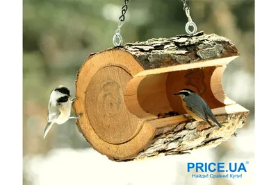 Как сделать кормушку для птиц своими руками | PriceMedia