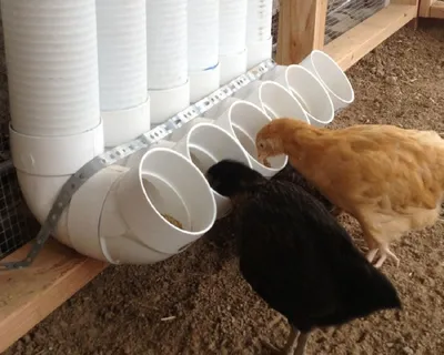 Гнездо для кур-несушек Copele Comfort пластик с яйцесборником (30894) купить